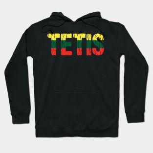 Lithuanian Tetis Dad Father Tevas Lietuva Flag Hoodie